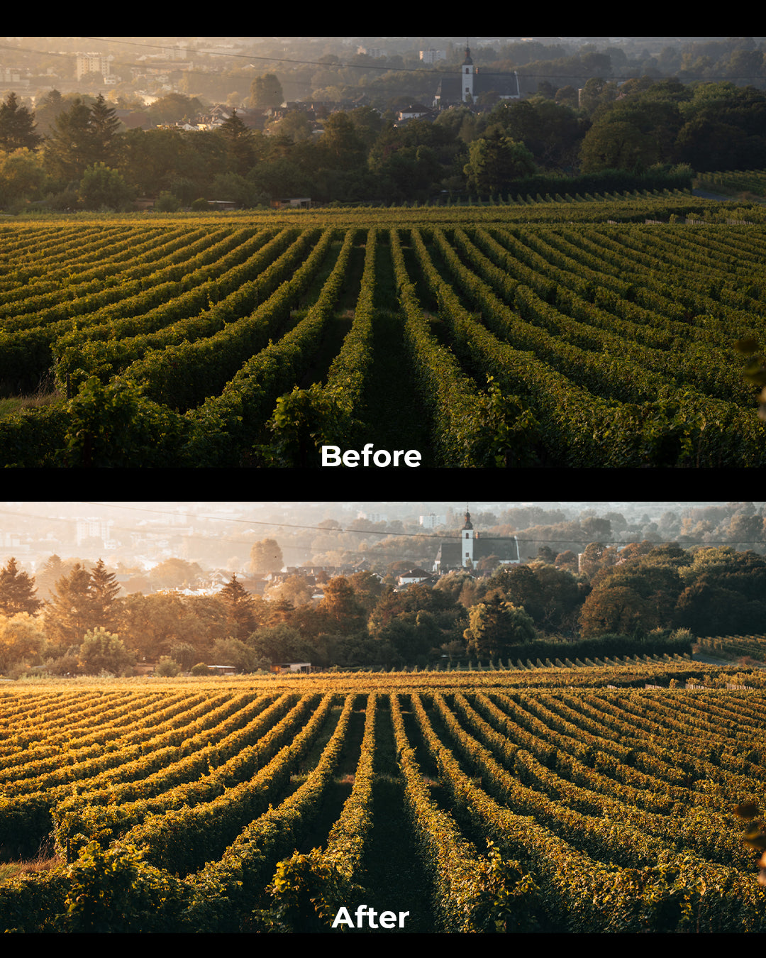 Cinematic Preset Pack + BONUS 1h Editing Masterclass